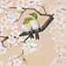 Kiyoharu Inoue Gallery